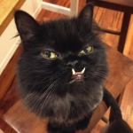 Жестокий Монстр